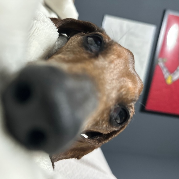 wohnjinter